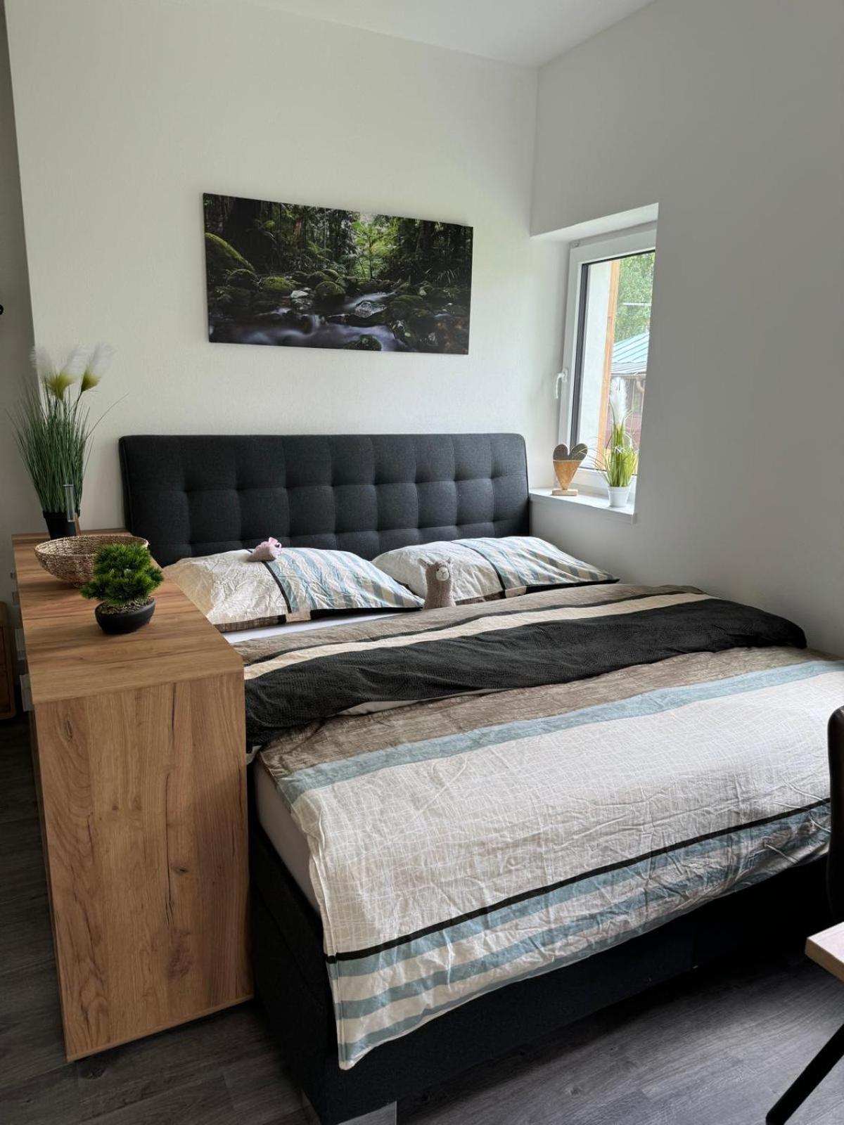 Apartmany Rak Lipno Černá v Pošumaví エクステリア 写真